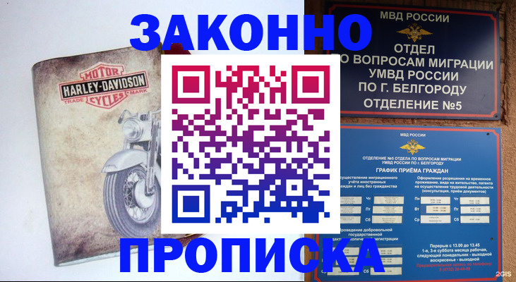 прописка для школы в Новой Ляле